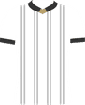 SV Elversberg Club